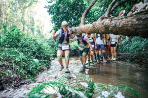 BIB: 
                            <button type="button" onclick="openModal(25467356)" class="btn btn-primary btn-sm float-right btn-popup" data-toggle="modal" data-target=".modal-high-quality">
                        <i class="fas fa-shopping-cart"></i> Add to Cart
                    </button>
                                            <button type="button" onclick="isThisMe(25467356, true)" class="btn btn-success btn-sm float-right btn-popup btn-isme hidden" data-toggle="tooltip" data-placement="bottom" title="นี่คือรูปของคุณใช่ไหม คลิกที่นี่เพื่อเอาเข้าอัลบั้ม">
                        <i class="fas fa-plus"></i> Add to album
                    </button>
                    <button type="button" onclick="isThisMe(25467356, false)" class="btn btn-warning btn-sm float-right btn-popup btn-isnotme hidden">
                        <i class="fas fa-ban"></i> Remove from album
                    </button>